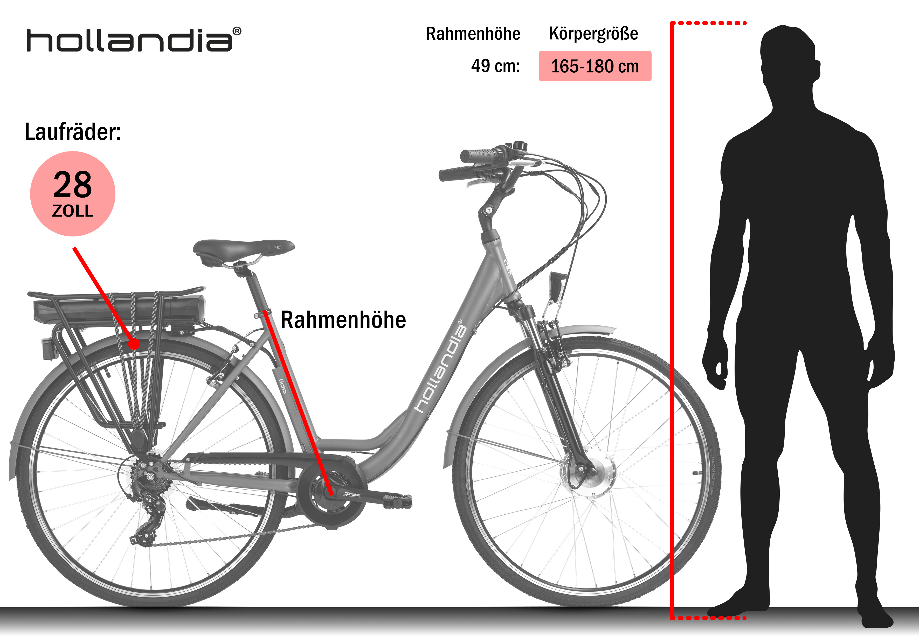 Graues Hollandia-Fahrrad mit 28-Zoll-Rädern, Akku und einer Silhouette zum Größenvergleich.