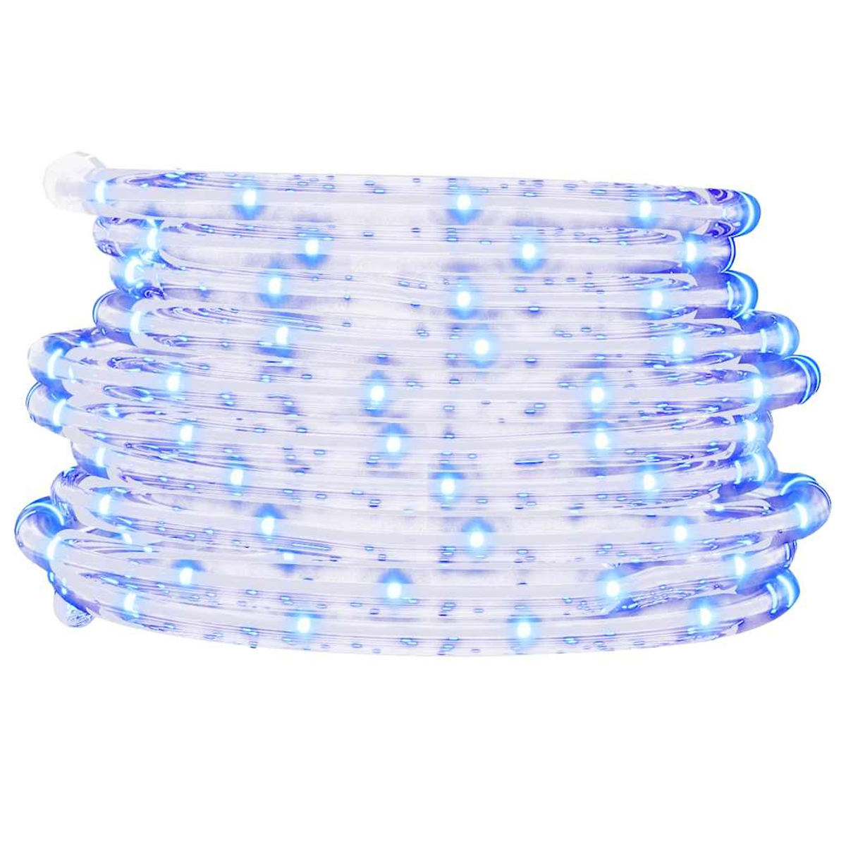 Eine aufgerollte, transparente Seilleuchte mit blauen LED-Leuchten. Das Licht befindet sich auf weißem Hintergrund.