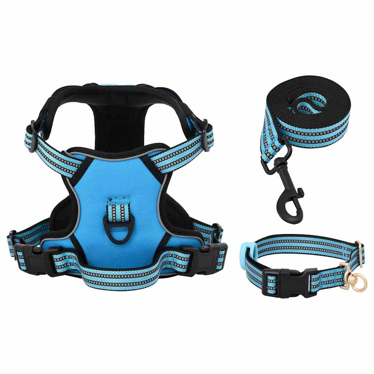 Ein blaues Hundegeschirr, Leine und Halsband-Set. Das Geschirr hat schwarze und graue Akzente. Die Leine ist aufgerollt mit einem schwarzen Clip.