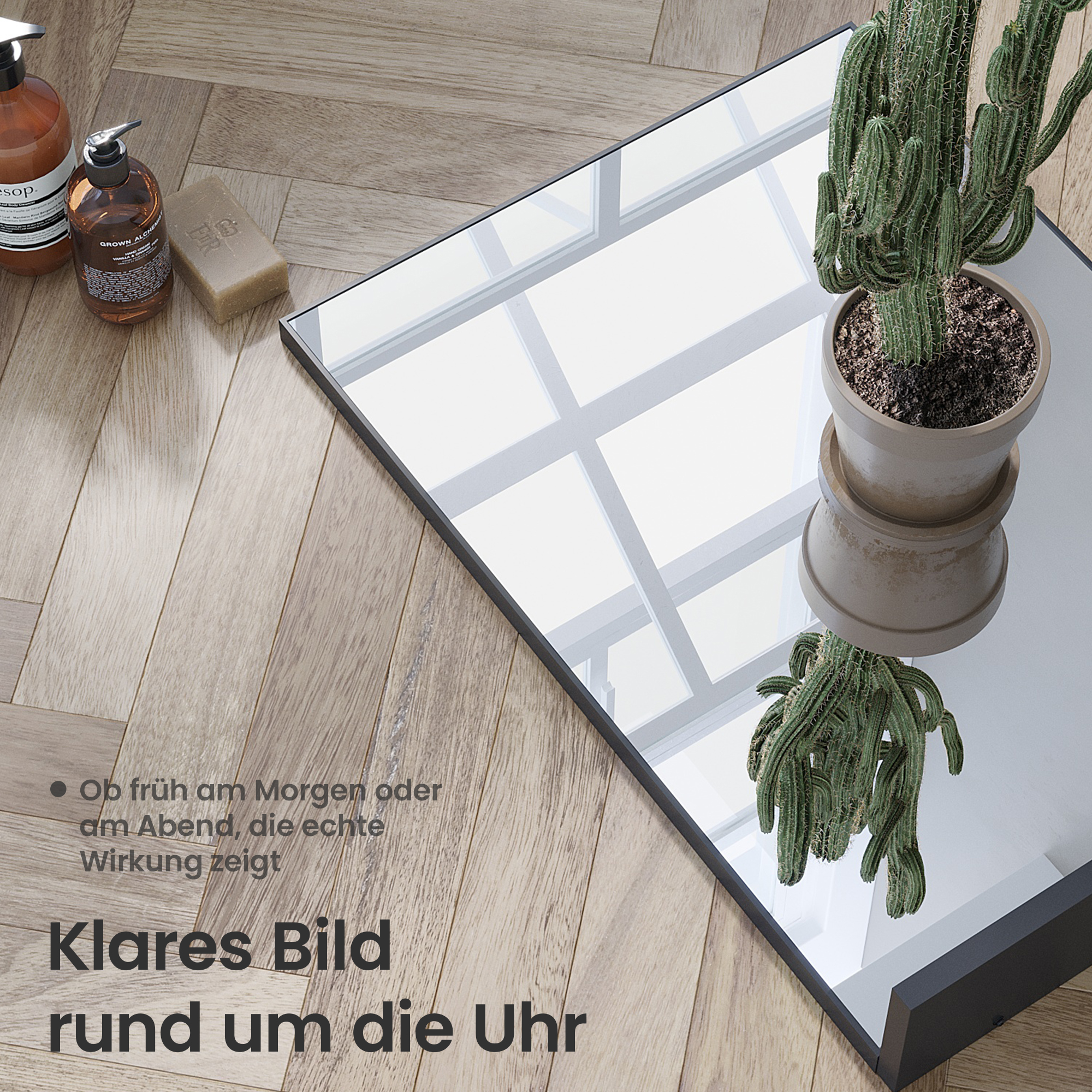 Ein Kaktus in einem Topf auf einem Spiegeltisch. Seife und Flaschen liegen auf dem Holzboden. Licht und Schatten.