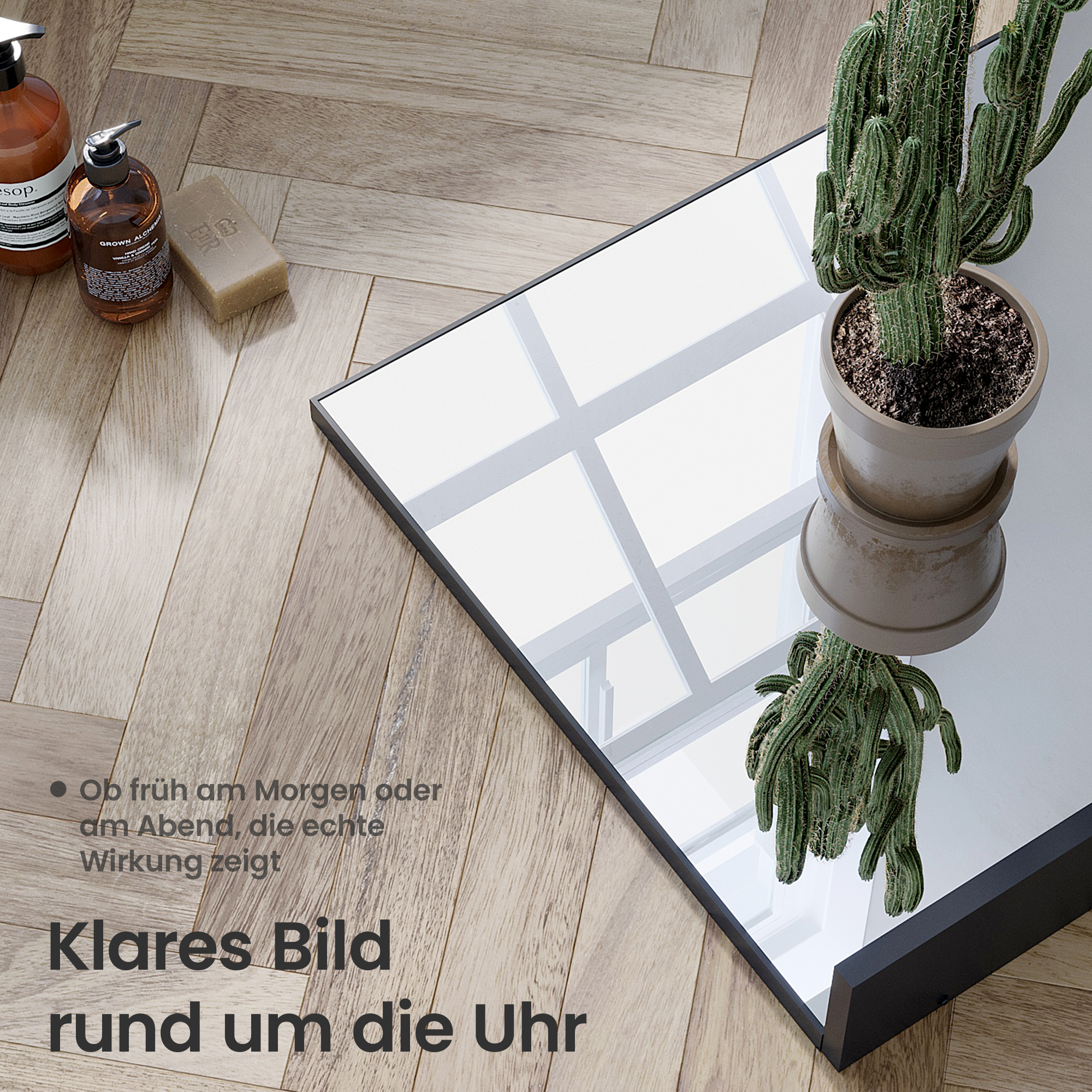 Ein Kaktus in einem Topf auf einem Spiegel. Seife und Lotionen auf Holzfußboden. Spiegelbild eines Fensters.
