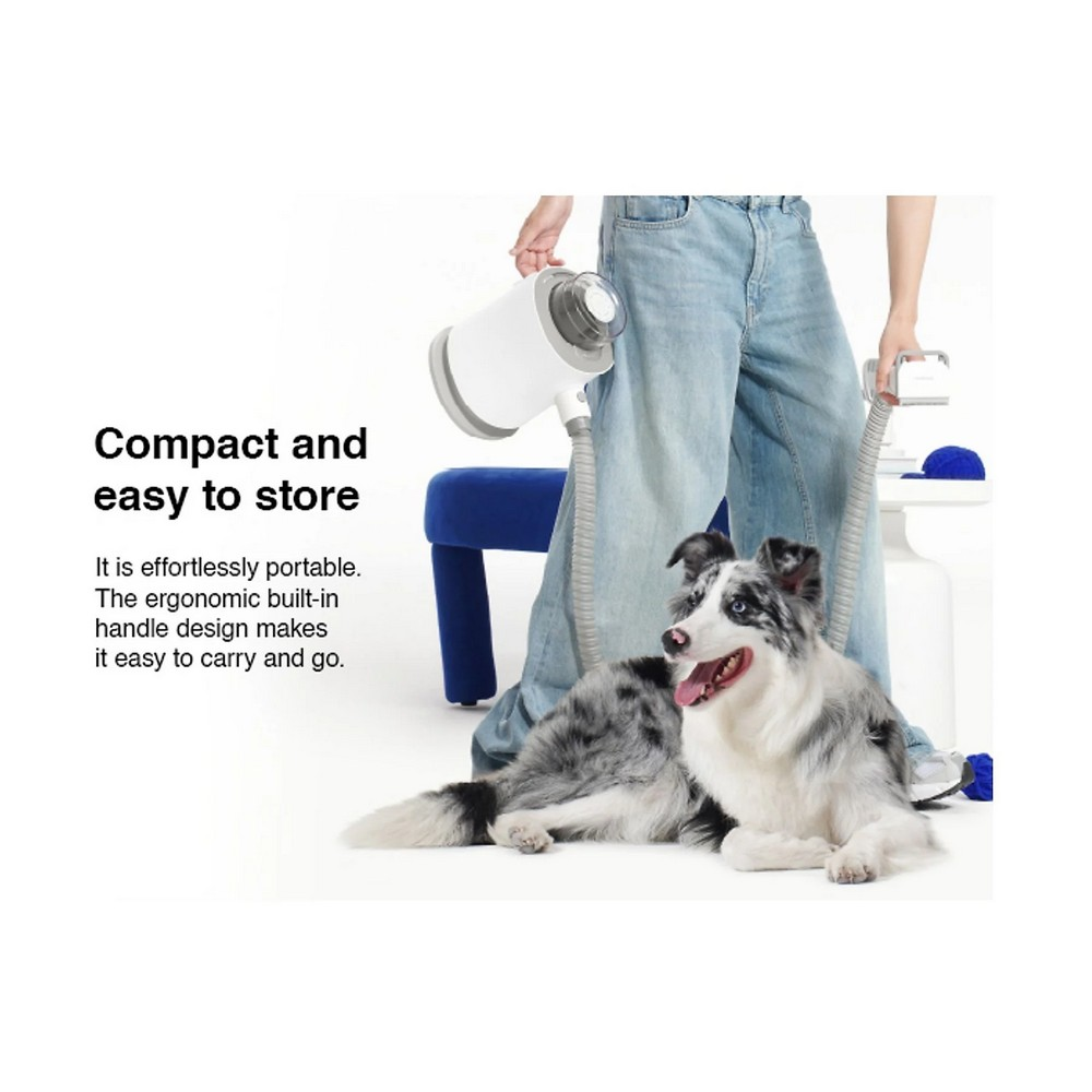 Bir köpek yerde yatarken bir kişi evcil hayvan kurutma makinesi tutuyor. Kişinin arkasında mavi bir sandalye var.