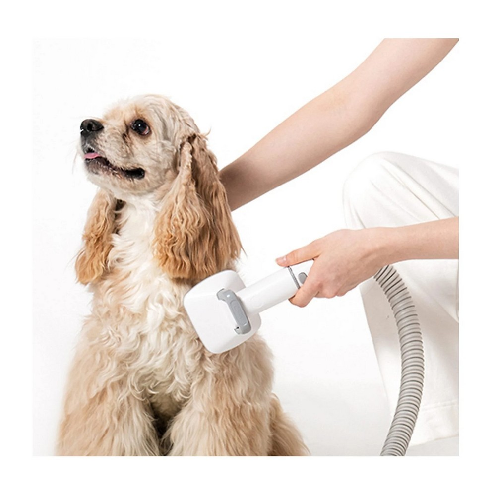 Bir köpek beyaz bir bakım aletiyle tımar ediliyor. Bir el aleti tutuyor. Köpek açık kahverengi kürklü ve yukarı bakıyor.