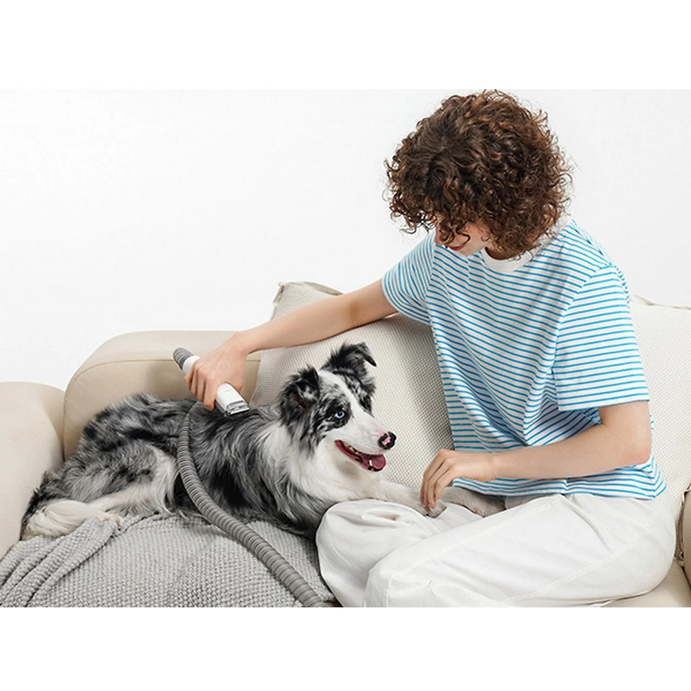 Bir kişi kanepede bir köpeği tımar ediyor. Köpek siyah, beyaz ve gri renklidir. Kişi mavi çizgili bir gömlek ve beyaz pantolon giyiyor.