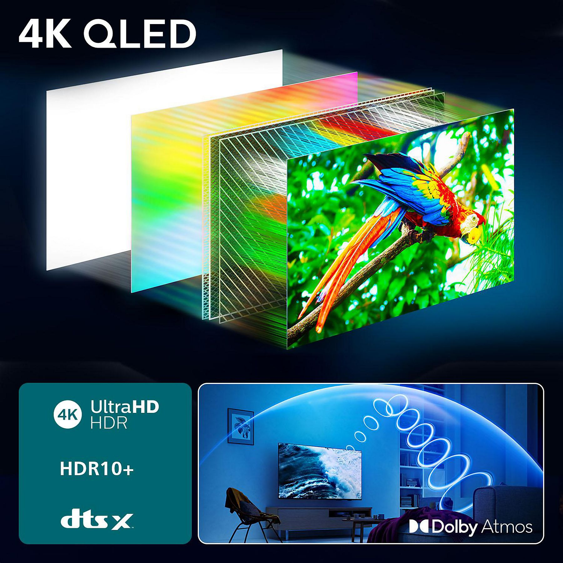 Kolorowa papuga siedzi na gałęzi przed warstwowym wyświetlaczem z napisem '4K QLED' na górze.