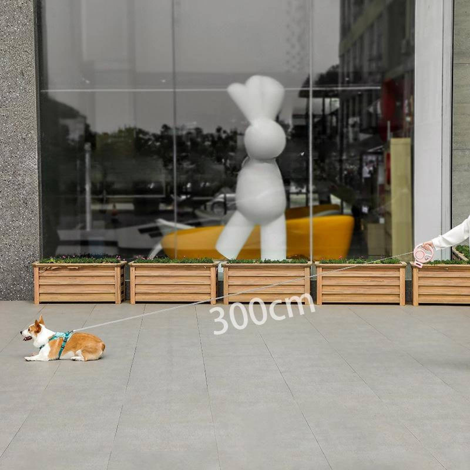 Ein Hund an der Leine liegt auf einem Gehweg. Eine Person hält die Leine. Eine große weiße Kaninchenskulptur ist dahinter.