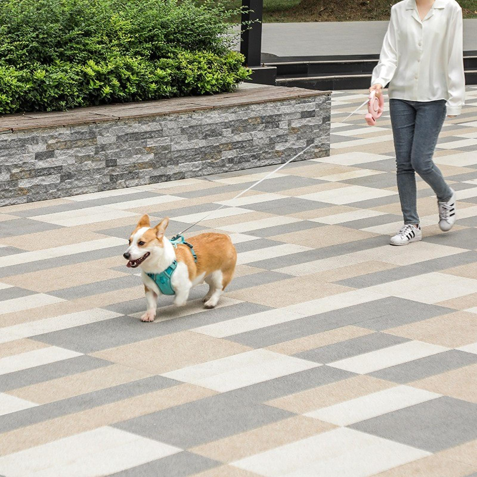 Eine Person geht mit einem Corgi-Hund an der Leine spazieren. Der Hund trägt ein türkisfarbenes Geschirr. Der Boden hat ein Muster.