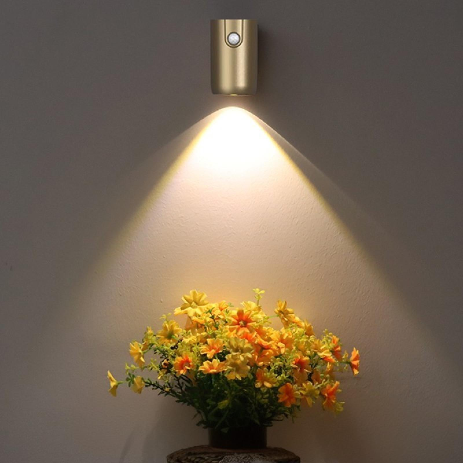 Eine goldene Wandlampe beleuchtet gelbe und orangefarbene Blumen in einem Topf vor einer grauen Wand.