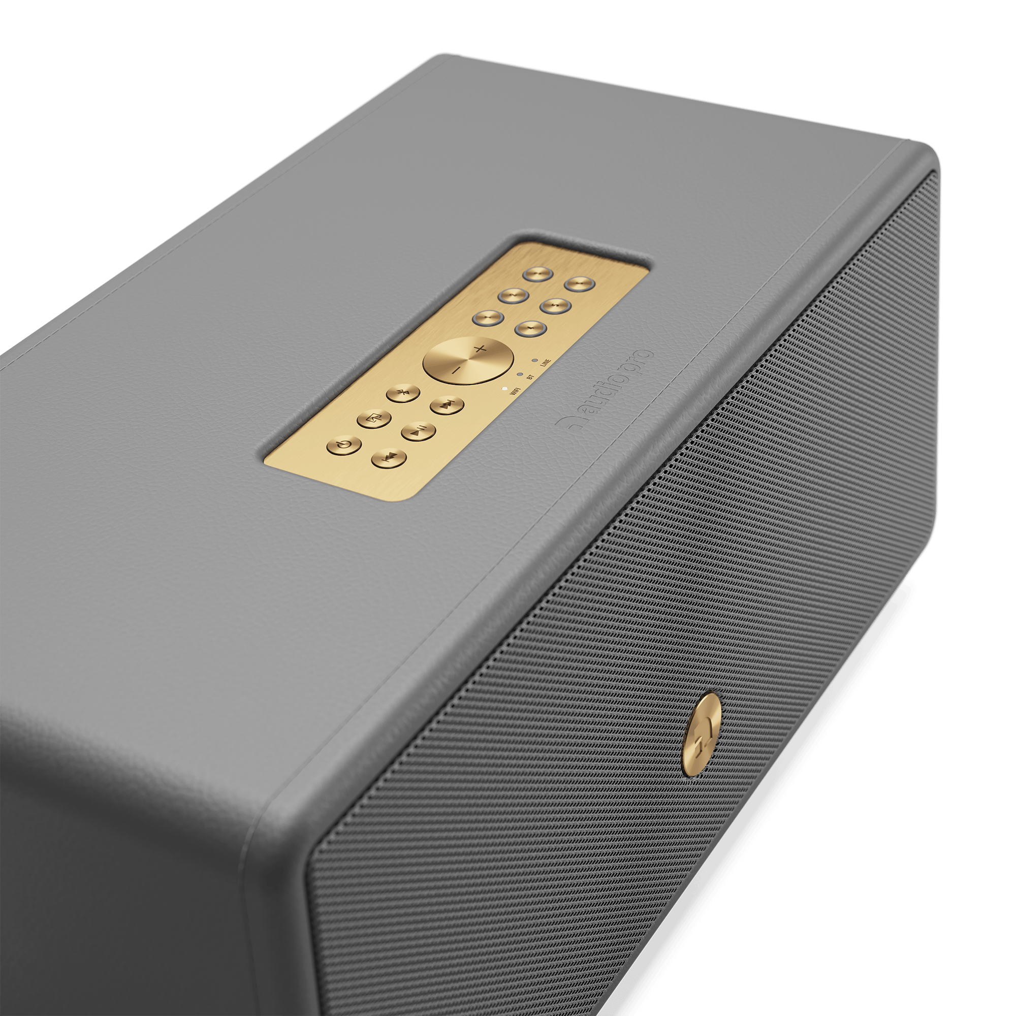 A gray speaker with gold controls on top. The speaker has a mesh grill and a gold logo on the side.