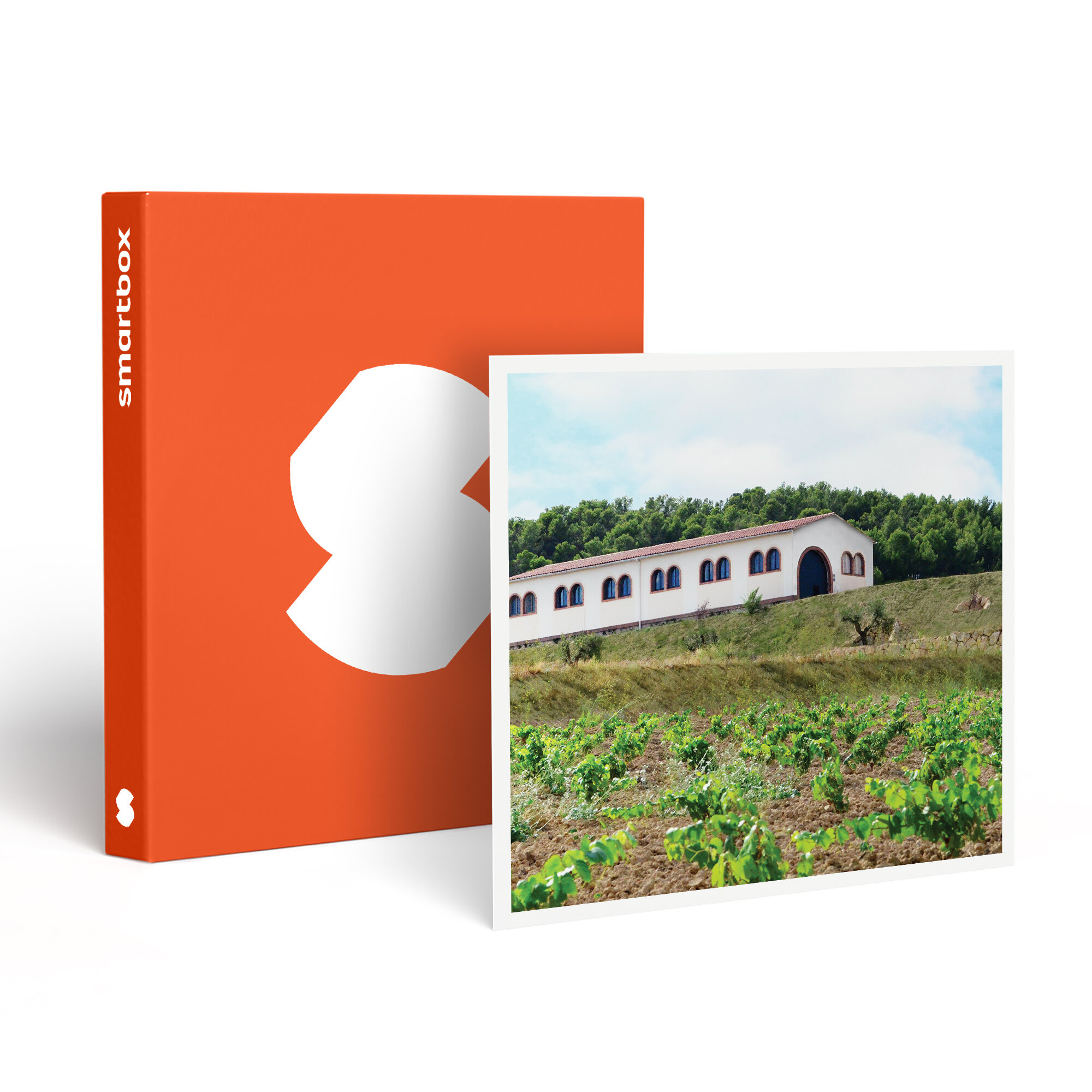Una caja naranja con un logotipo blanco, junto a una imagen de un viñedo y un edificio blanco con ventanas azules.