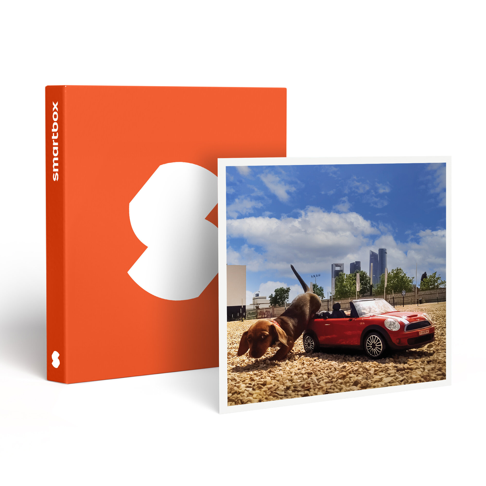 Un cachorro dachshund se inclina hacia un coche de juguete rojo. Una Smartbox naranja está a la izquierda.