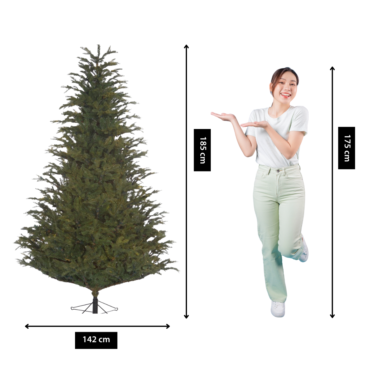 Une femme se tient près d'un sapin de Noël. Les dimensions sont fournies. L'arbre mesure 185 cm de haut et 142 cm de large. La femme mesure 175 cm de haut.