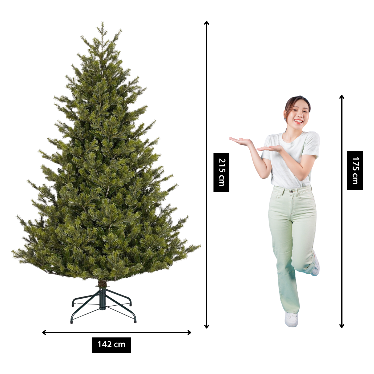 A woman stands next to a green Christmas tree. The tree is 142cm wide and 215cm tall. The woman is 175cm tall.