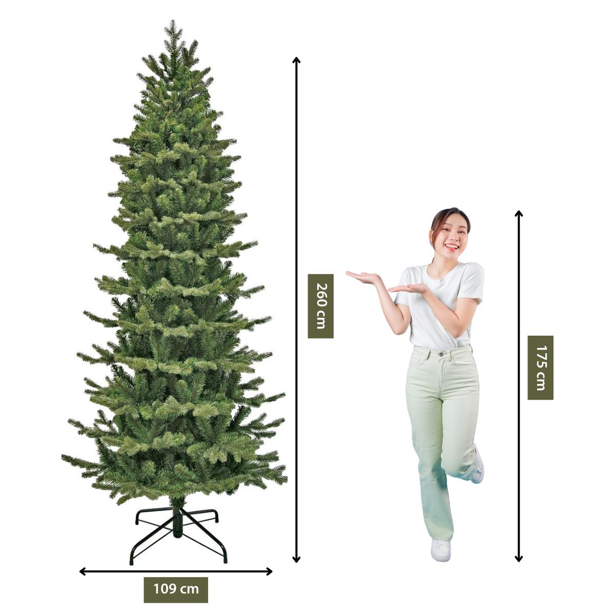 Un sapin de Noël vert à côté d'une femme qui pointe. Des mesures sont indiquées pour l'arbre et la taille de la femme.