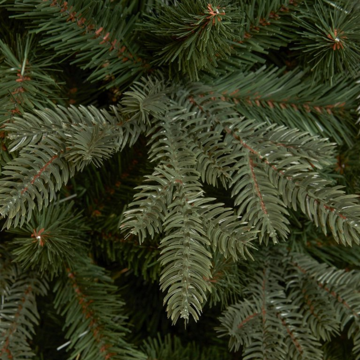 Gros plan d'un sapin de Noël vert. Les aiguilles sont visibles, avec différentes nuances de vert et quelques tiges brunes.