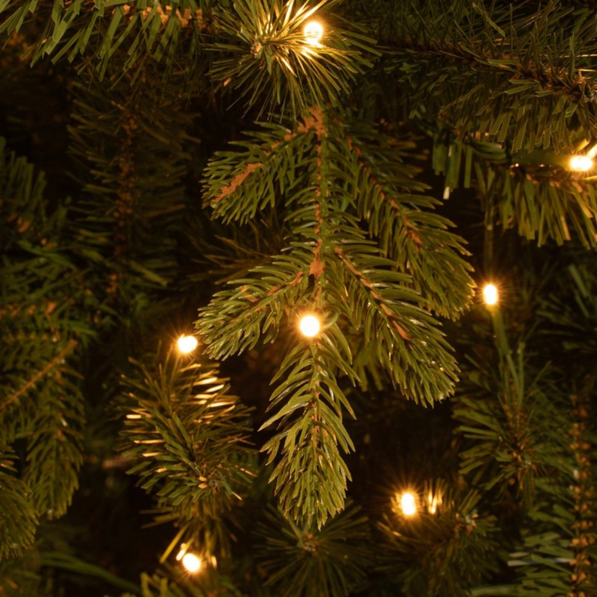 Gros plan d'un sapin de Noël avec des aiguilles vertes et de petites lumières blanc chaud et brillantes. Le fond est sombre.