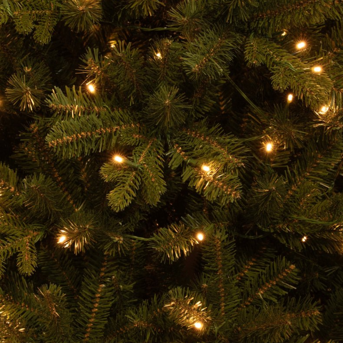 Gros plan d'un sapin de Noël avec des aiguilles vertes et de petites lumières blanc chaud. Les lumières sont dispersées sur les branches.