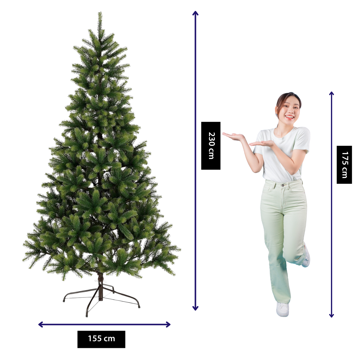 Un sapin de Noël vert, 155 cm de large et 230 cm de haut, à côté d'une femme de 175 cm sur fond blanc.