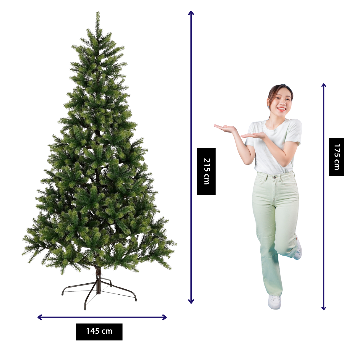 A green Christmas tree, 215cm high, next to a woman wearing white top and green pants. The tree is 145cm wide.