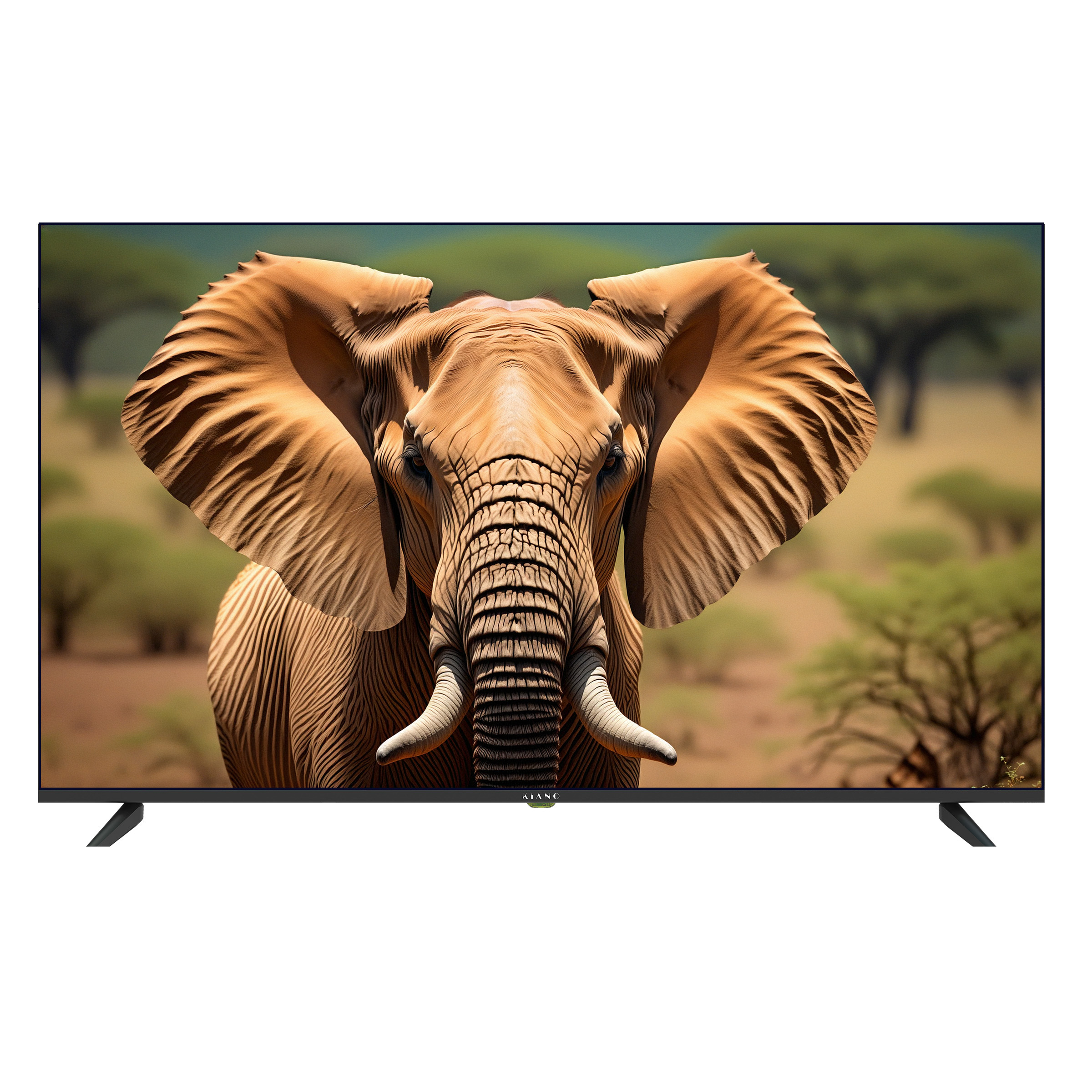 Ein Elefantenporträt auf einem Fernsehbildschirm. Der Elefant ist braun mit großen Ohren und Stoßzähnen; Hintergrund ist eine Savanne.