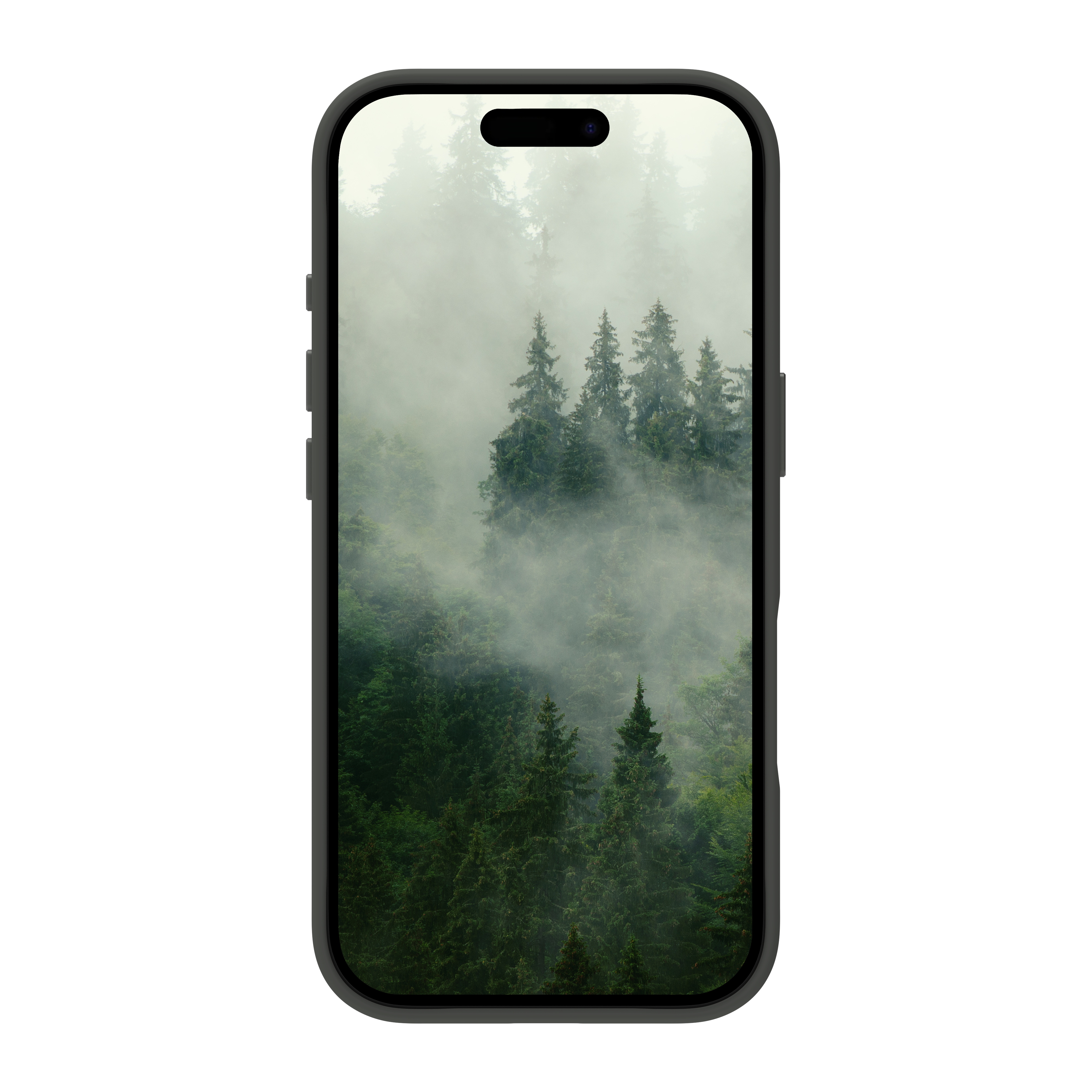 Ein Smartphone zeigt eine neblige Waldszene mit hohen grünen Bäumen. Das Telefon hat ein schwarzes Gehäuse und einen weißen Hintergrund.