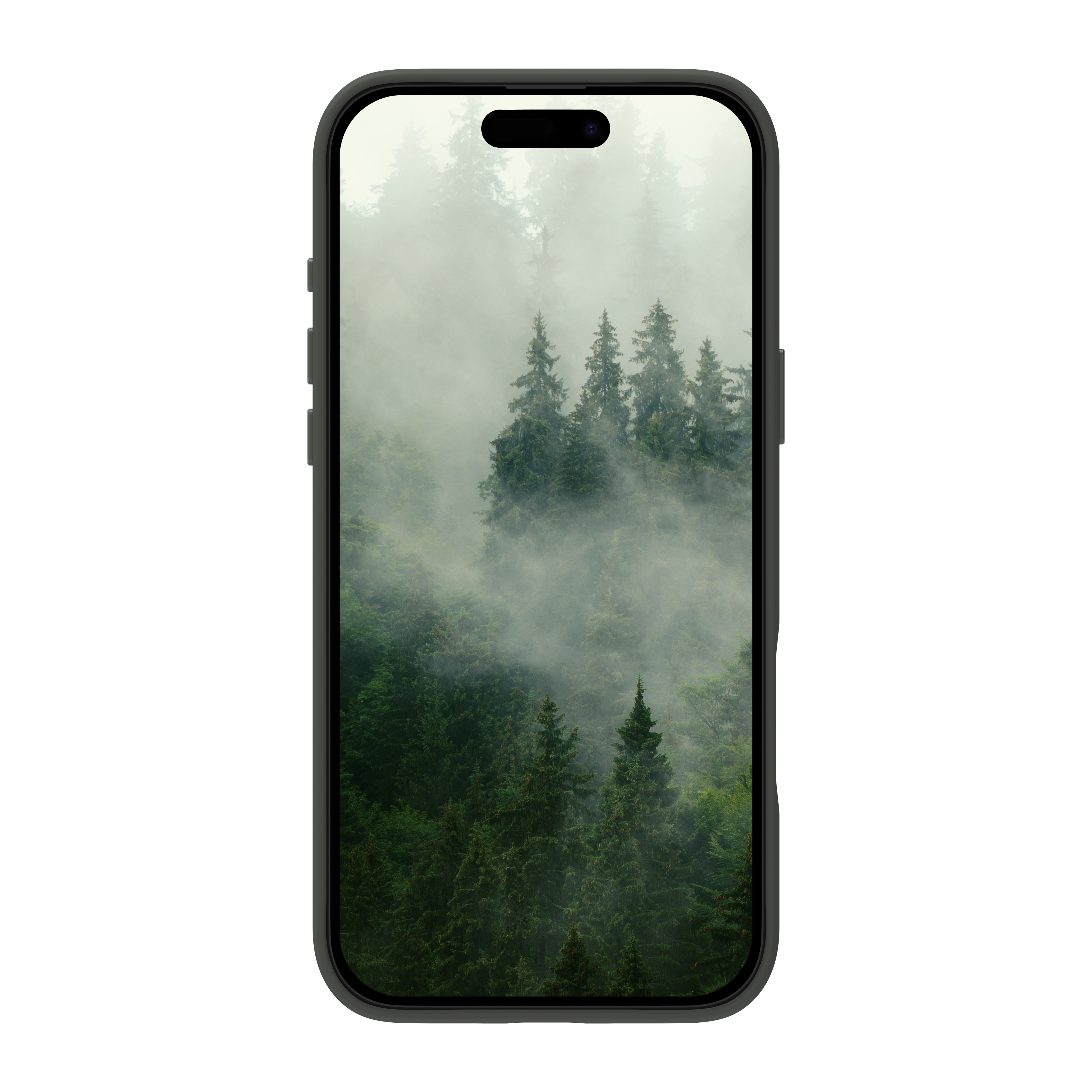 Uno smartphone mostra una scena di foresta nebbiosa con alberi verdi e alti. Il telefono è nero su sfondo bianco.