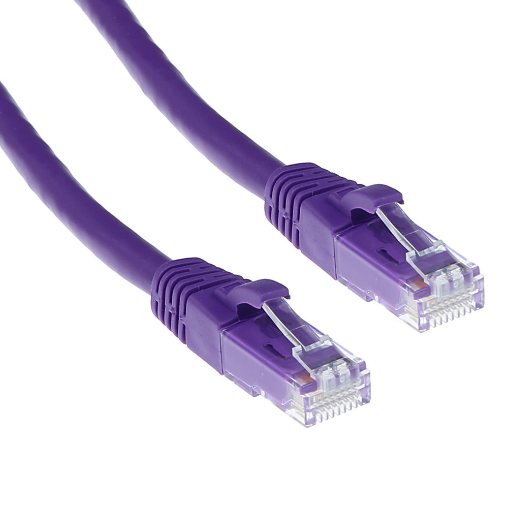 Deux câbles Ethernet violets avec des connecteurs transparents sont affichés sur fond blanc.