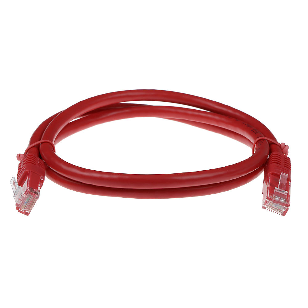 Ein rotes Ethernet-Kabel mit Steckern an beiden Enden ist geschlungen. Der Hintergrund ist schlicht weiß.