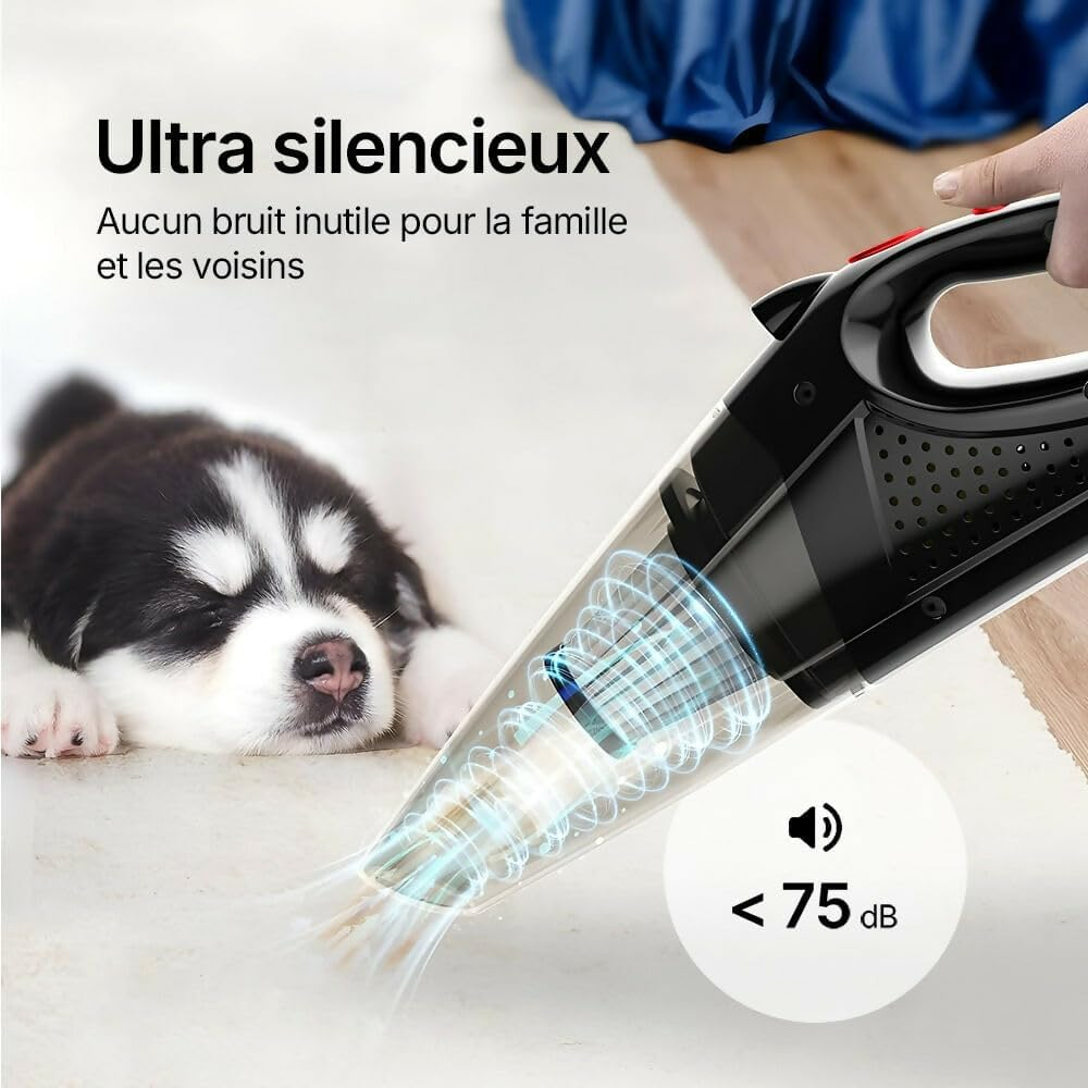 Ein Handstaubsauger wird in der Nähe eines Welpen verwendet. Der Text lautet 'Ultra silencieux' und '<lt/> 75 dB' mit einem Tonsymbol.