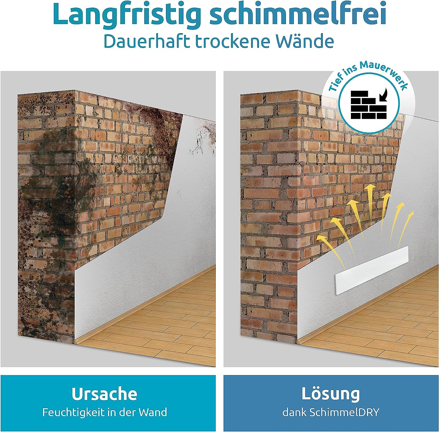 Das Bild zeigt eine Ziegelmauer mit Schimmel. Die rechte Seite zeigt eine gereinigte Wand mit Pfeilen, die eine Lösung darstellen.