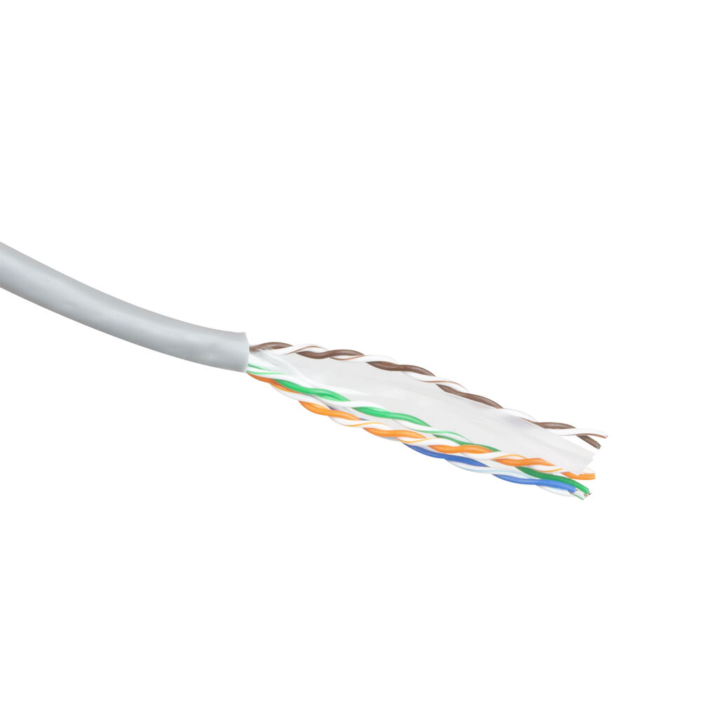 Un cavo Ethernet grigio con fili esposti di vari colori su sfondo bianco.