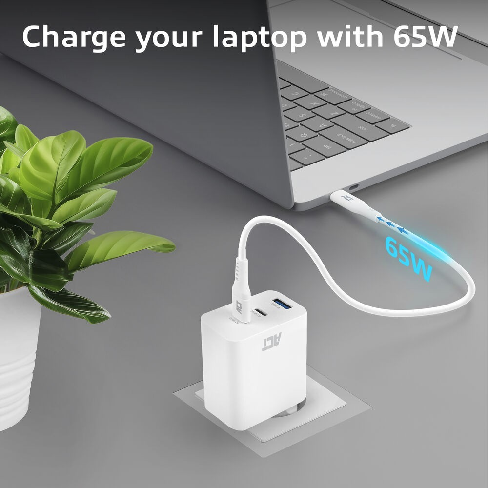 Ordinateur portable en charge avec un chargeur 65W. Un chargeur blanc branché sur l'ordinateur portable. Une plante à gauche.