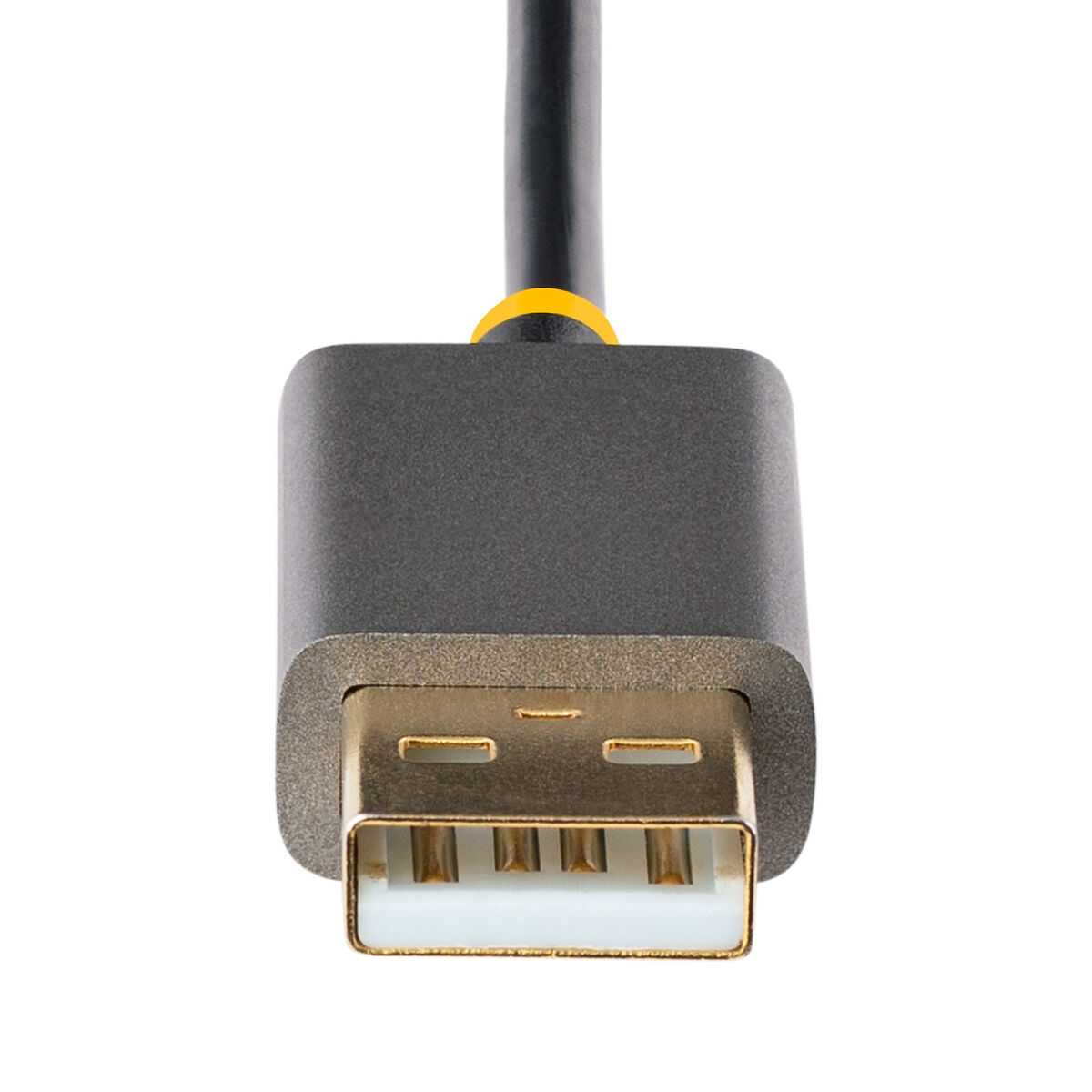 Nahaufnahme eines USB-Anschlusses. Er hat ein schwarzes Gehäuse, eine goldfarbene Innenseite und ein schwarzes Kabel. Der Hintergrund ist weiß.
