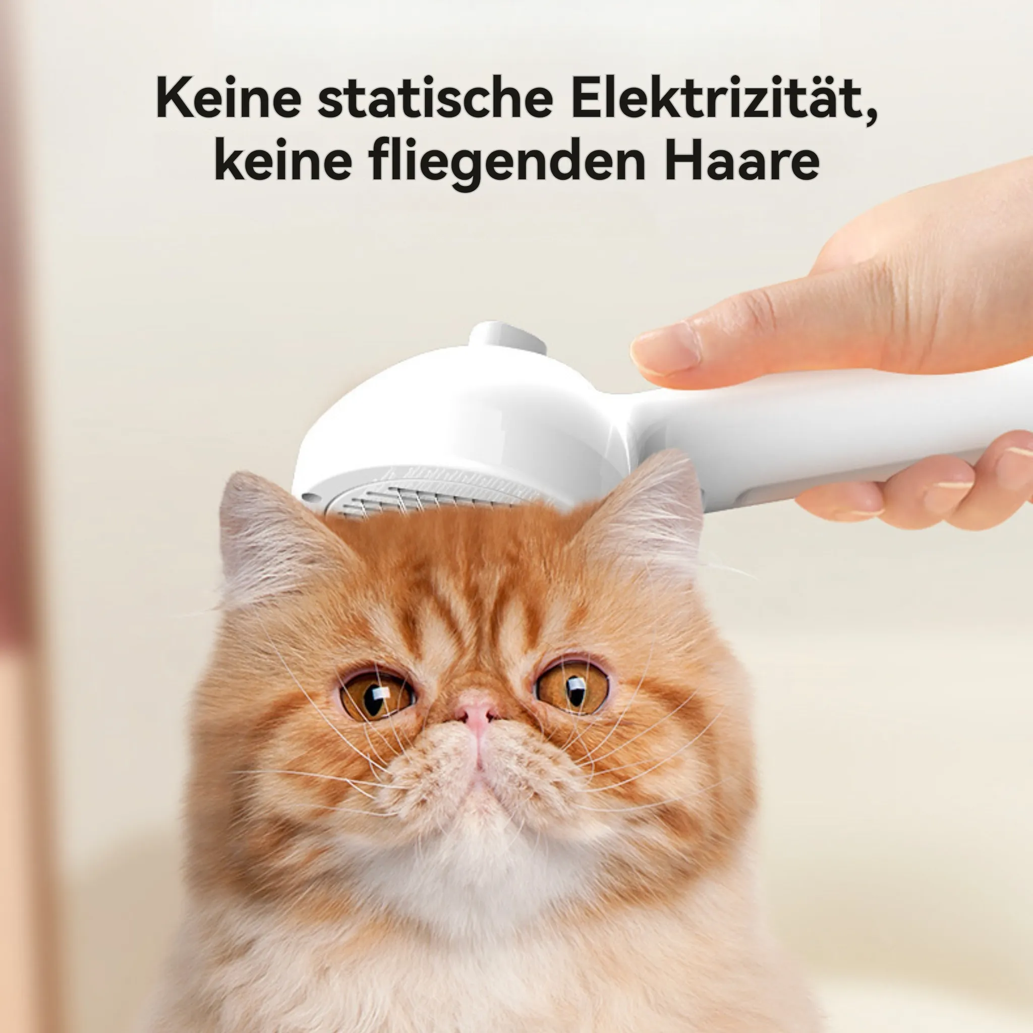 Nahaufnahme einer orangefarbenen Katze, die mit einem weißen Gerät gepflegt wird. Text oben: Keine statische Elektrizität, keine fliegenden Haare.