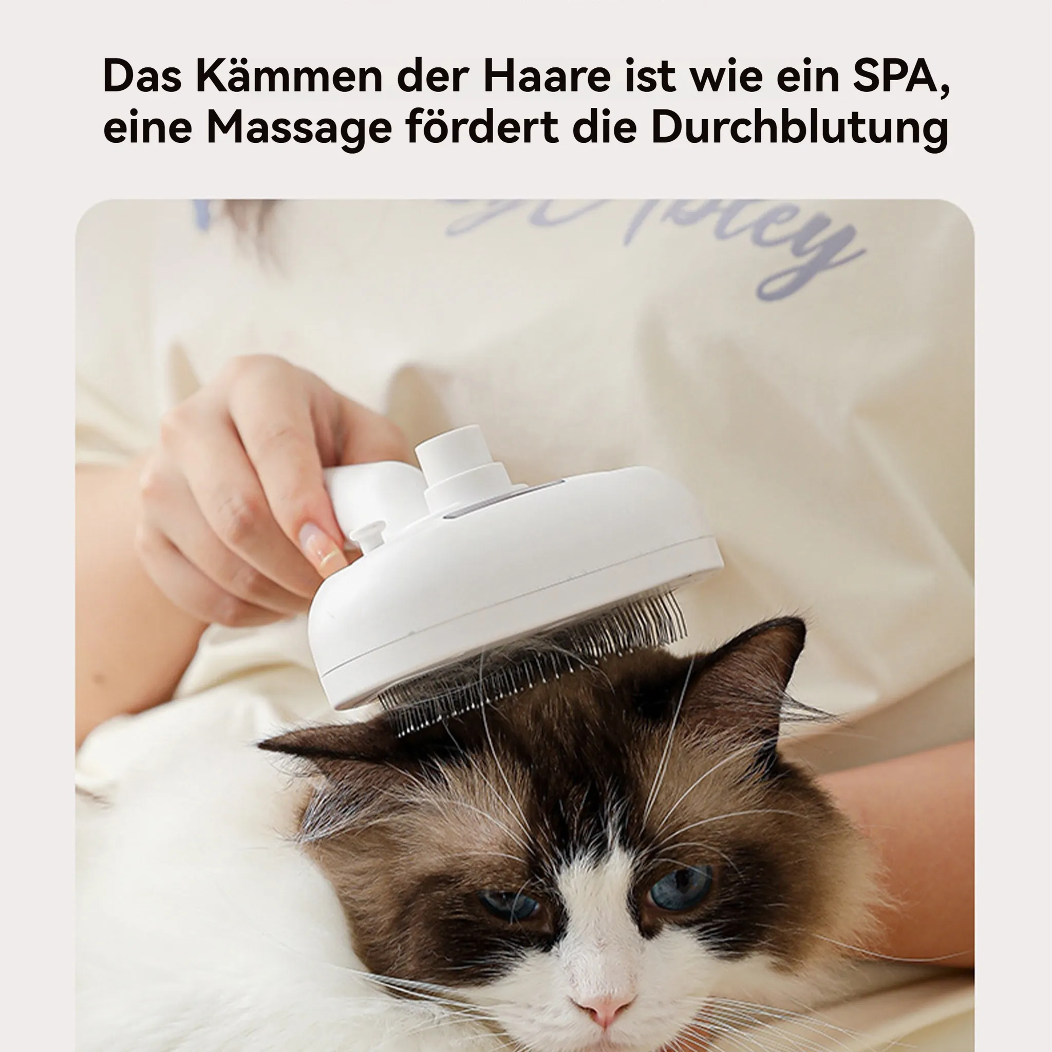Eine weiße Katze wird von einer Person mit einer weißen Bürste gepflegt. Text steht über der Katze.