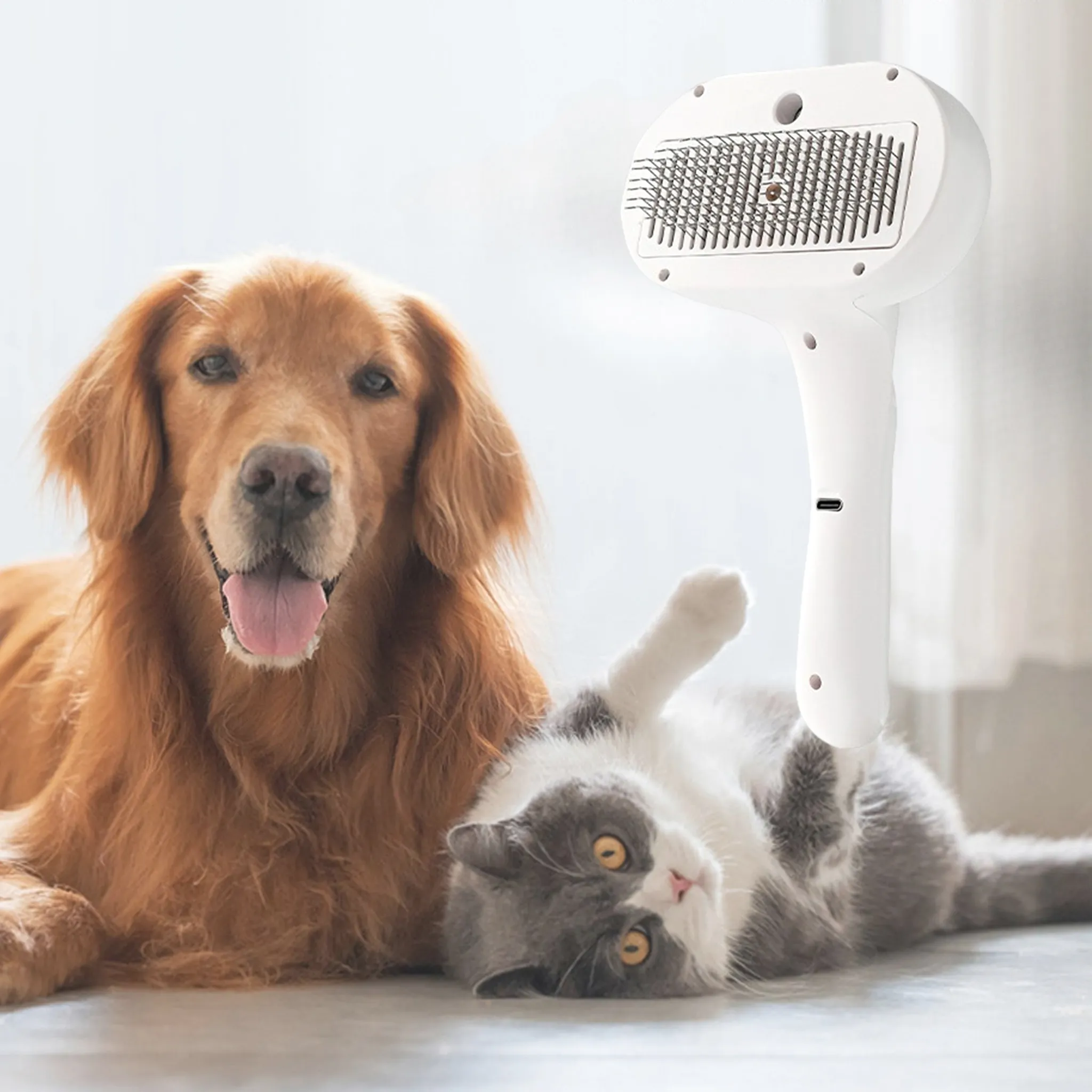Ein Golden Retriever und eine graue Katze mit gelben Augen neben einem weißen Haustierpflegegerät.