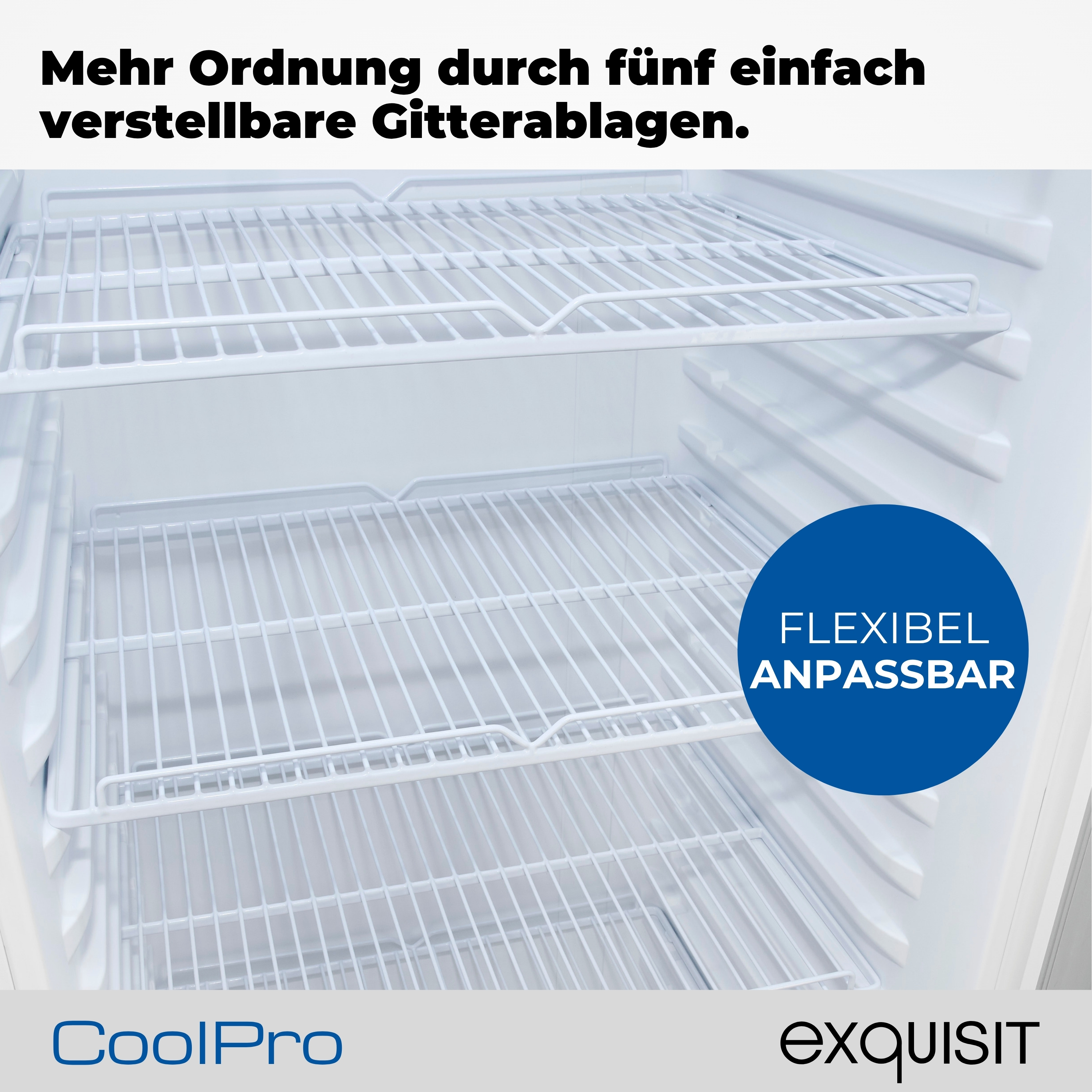 In einem weißen Kühlschrank sind drei Drahtregale sichtbar. Ein blauer Kreis zeigt 'FLEXIBEL ANPASSBAR'.
