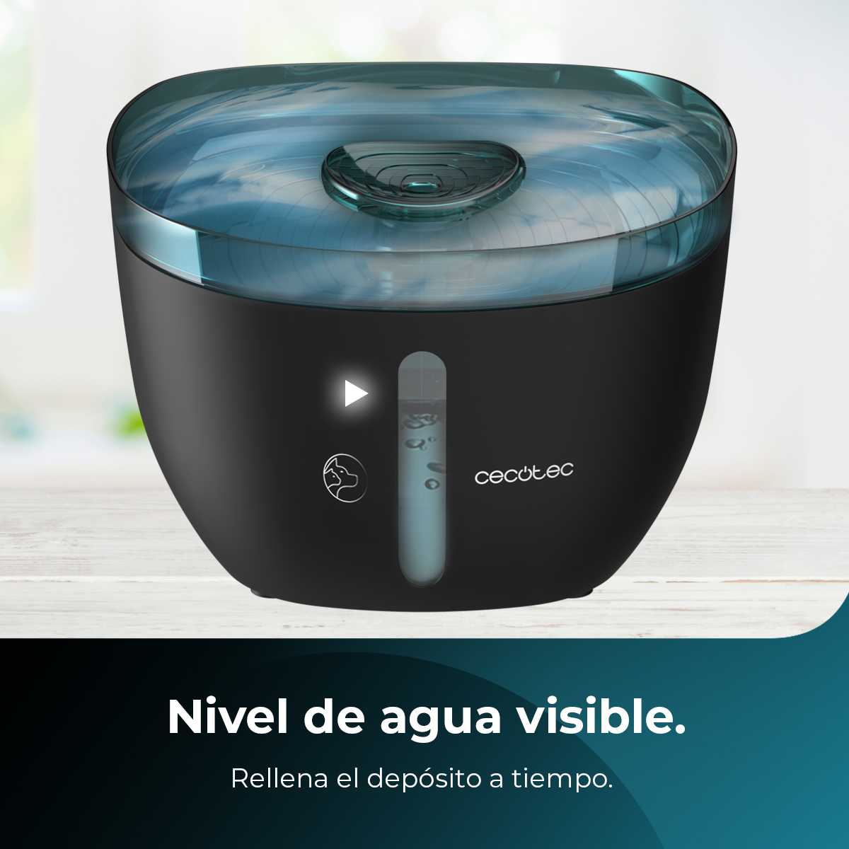Fuente de agua negra y azul para mascotas. Indicador de nivel de agua transparente. La marca es Cecotec. La imagen está sobre madera.