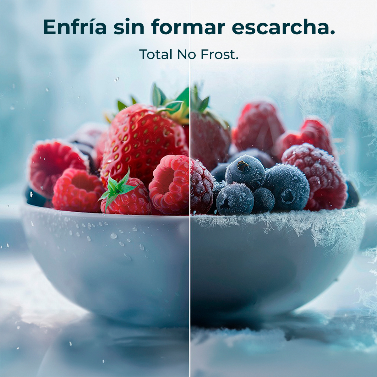 Miska ze świeżymi jagodami, w tym truskawkami, malinami i borówkami. Jest podzielona na pół, jedna strona jest oszroniona.