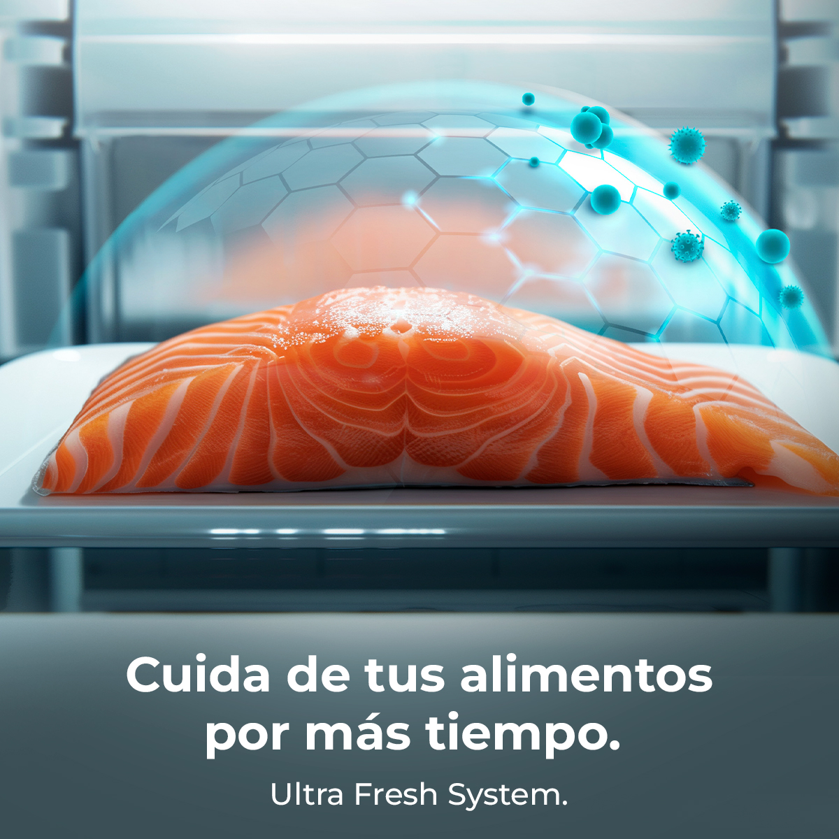 Un filetto di salmone su un piatto bianco. Uno scudo blu lo protegge e il testo recita: "Cuidate de tus alimentos por más tiempo".
