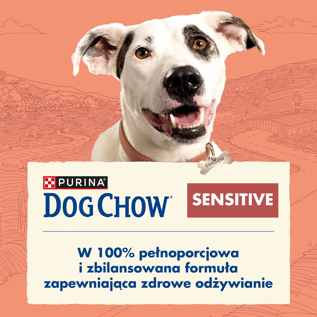 Uśmiechnięty biały pies z czarnymi plamami i brązową obrożą. Poniżej tekst dla Dog Chow Sensitive. Pomarańczowe tło z krajobrazem.