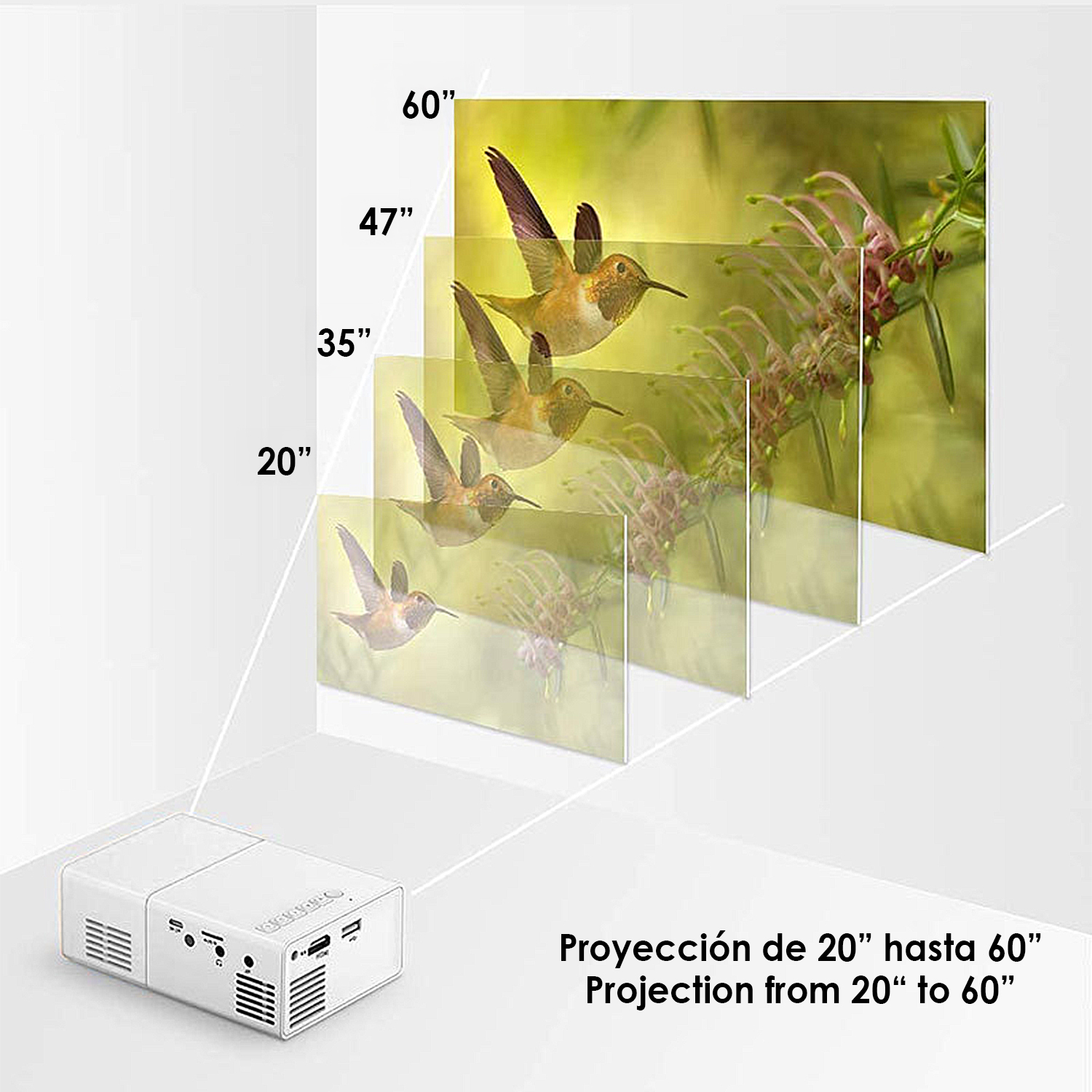 Un proyector muestra una imagen de colibrí en diferentes tamaños. El texto indica proyección de 20" a 60". Hay un proyector blanco.