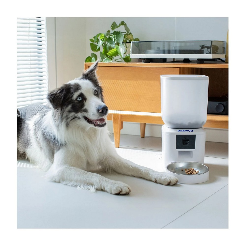 Border Collie liegt neben einem Futterautomaten. Holzschrank und Pflanze im Hintergrund. Weißer Boden und Jalousien.