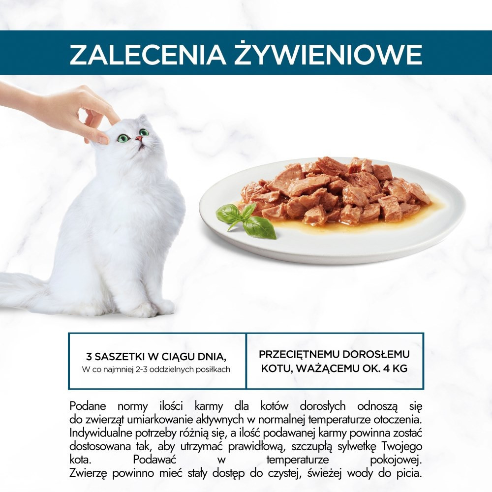 Biały kot jest głaskany. W pobliżu talerz z karmą dla kota i bazylią. Tekst po polsku opisuje wytyczne dotyczące karmienia.