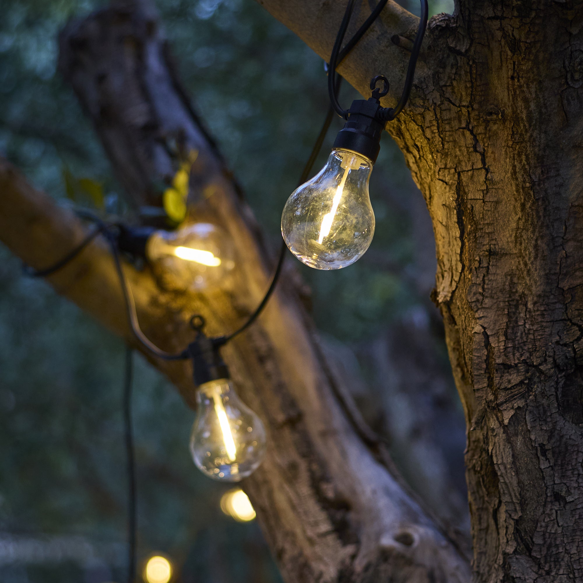 String lights with glowing bulbs hang from tree branches. The background is blurred green foliage.