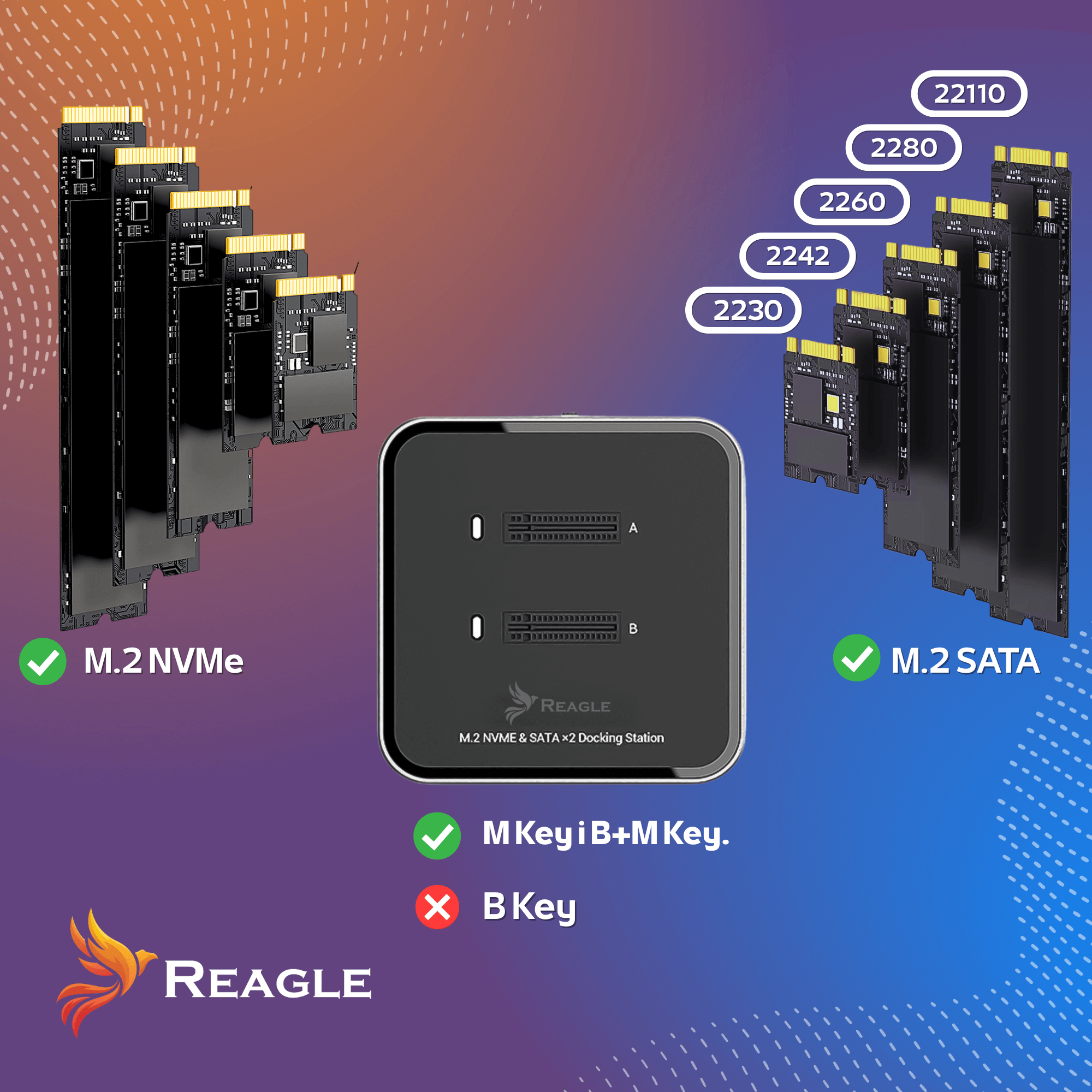 Obraz przedstawia dyski SSD M.2 NVMe i SATA, stację dokującą i specyfikacje. Marka to Reagle.