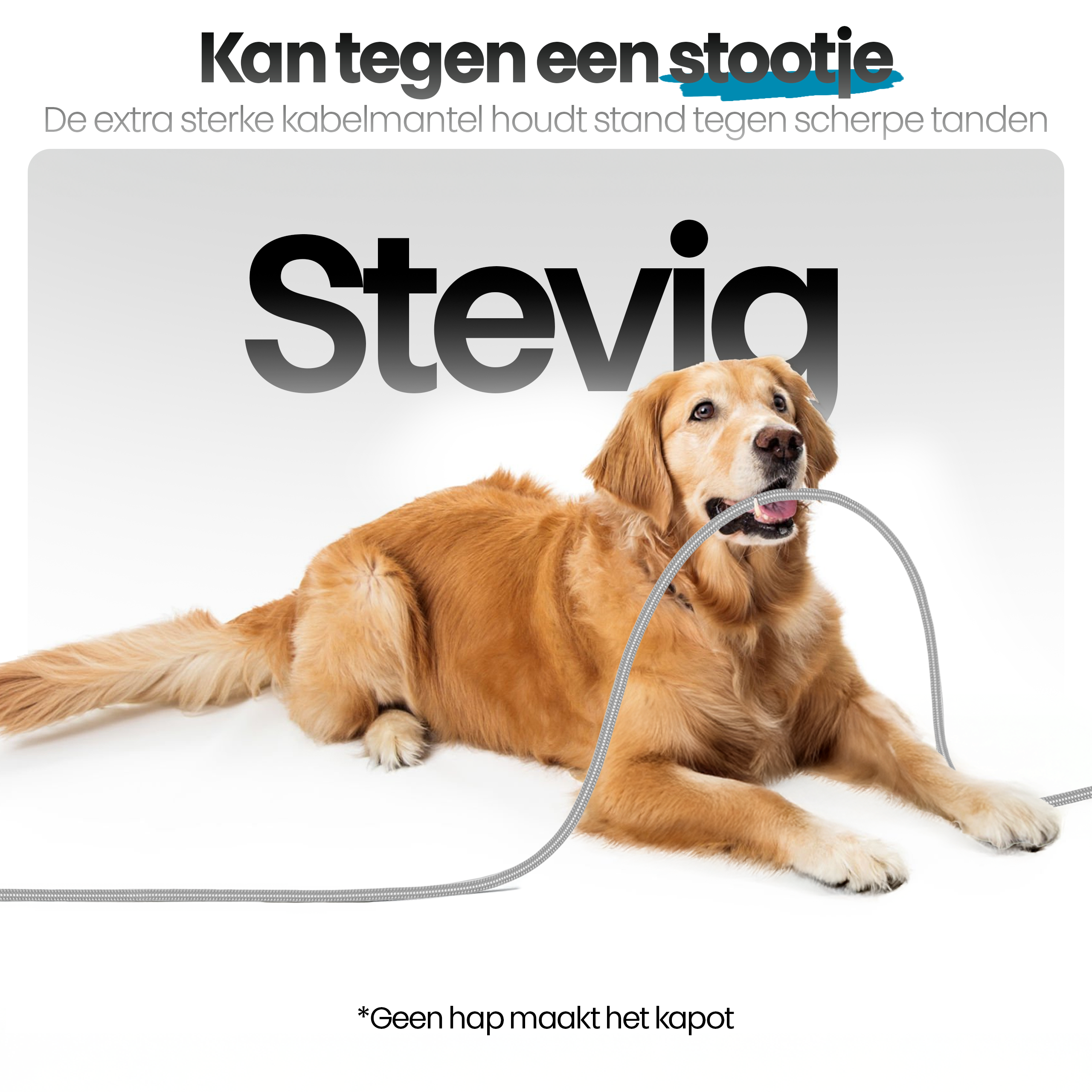 Een golden retriever kauwt op een kabel. Het woord "Stevia" staat boven de hond. Tekst zegt: "Kan tegen een stootie".