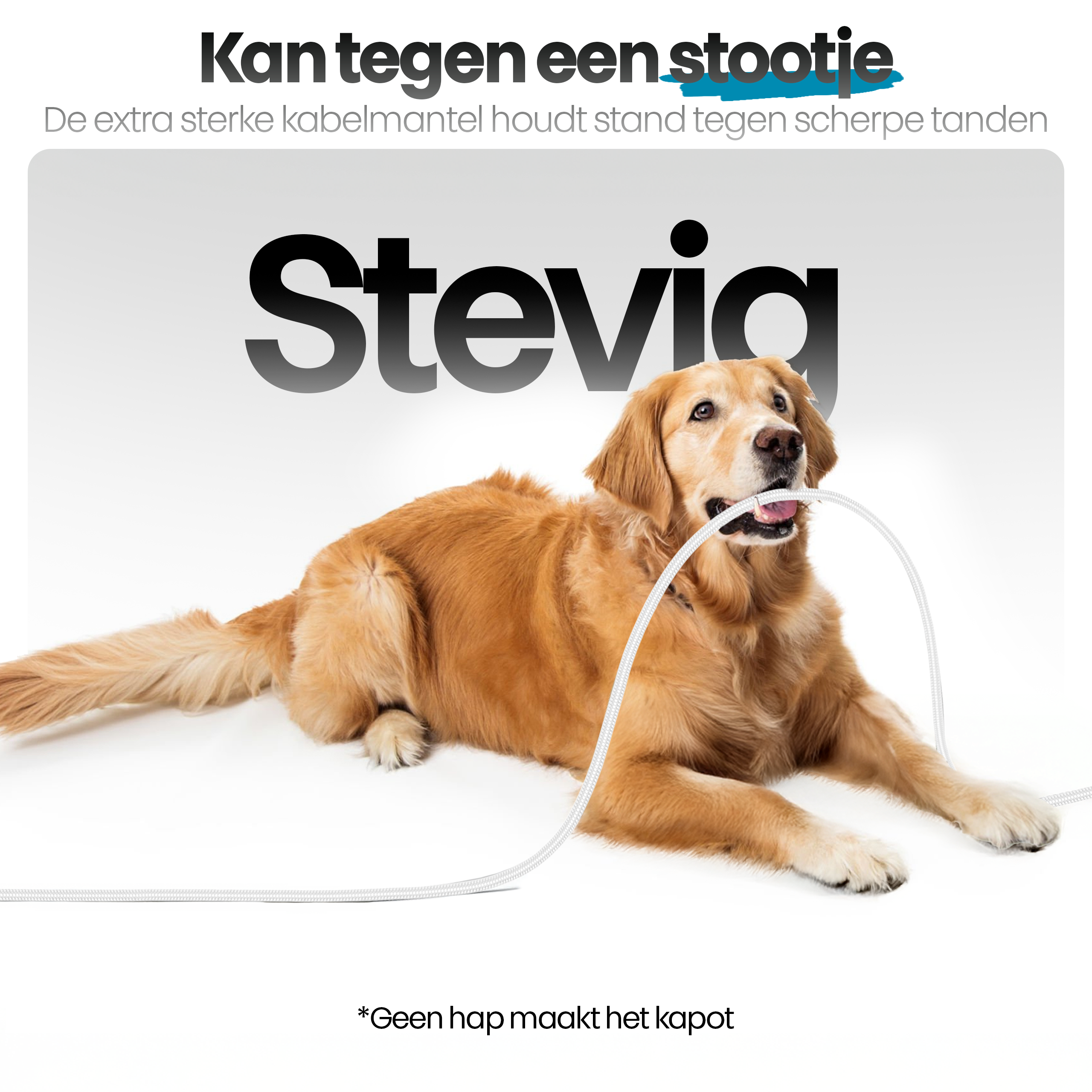 Golden retriever met een kabel in zijn bek. De achtergrond is wit, en er is tekst.