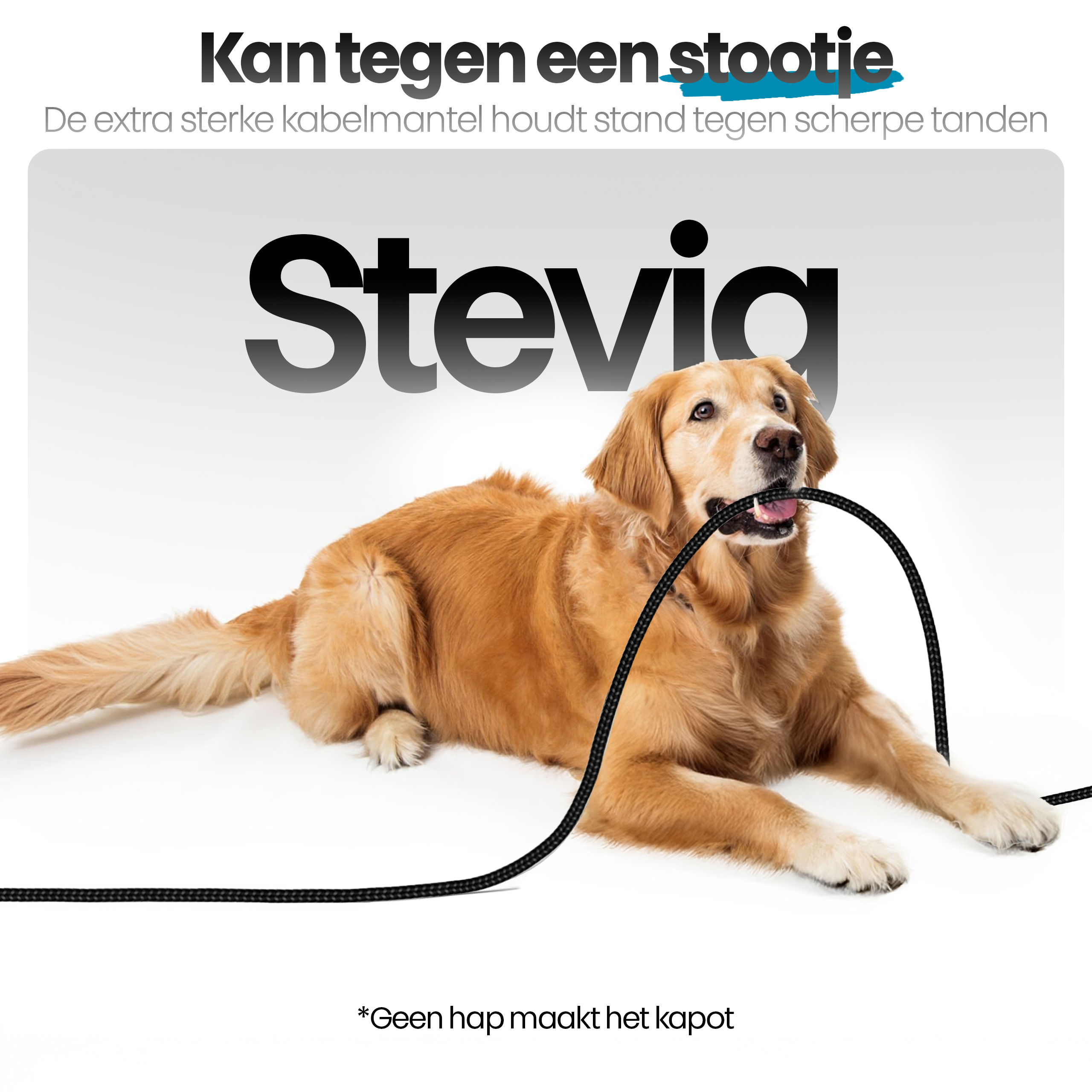 Golden Retriever bijt in een zwarte kabel. Tekst: 'Stevia', Nederlandse tekst boven en beneden.