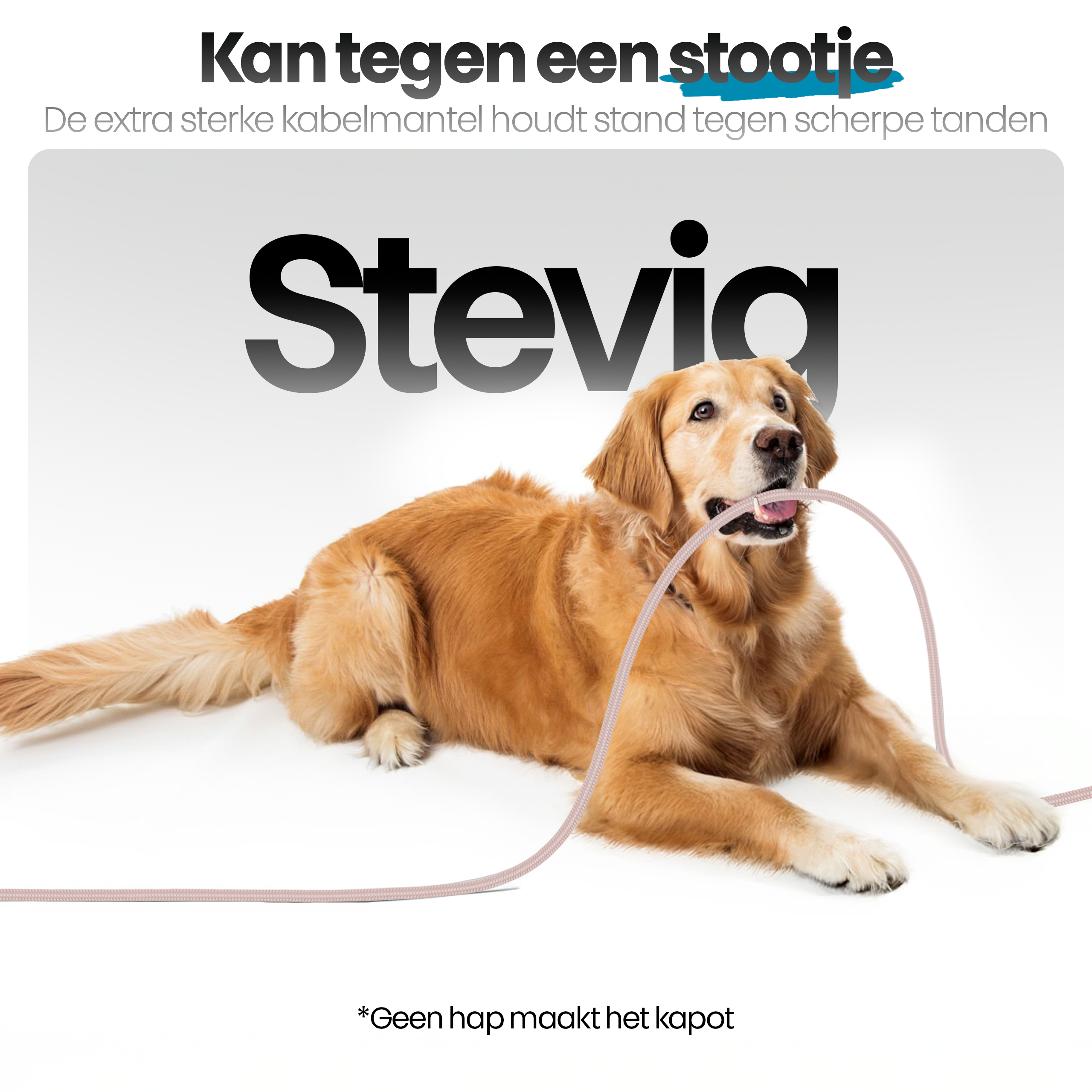 Een golden retriever houdt een kabel in zijn bek. Tekst zegt 'Stevia' en 'Sterke kabel'.